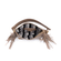 416.fendi--2-