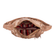 LS348--4-